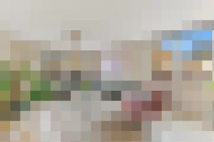 Werve 45 Maasland thumbnail 6