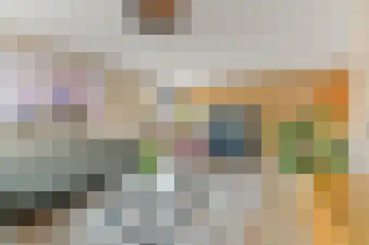 Werve 45 Maasland thumbnail 7