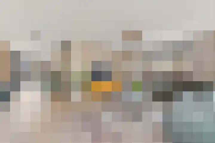 Werve 45 Maasland thumbnail 8