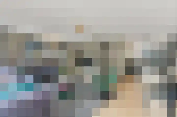 Werve 47 Maasland thumbnail 10