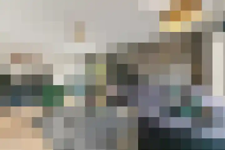 Werve 47 Maasland thumbnail 11