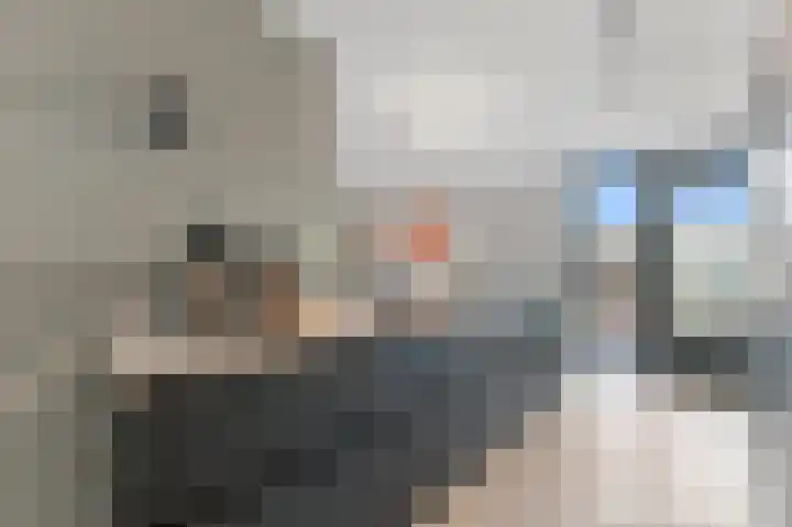Werve 47 Maasland thumbnail 12