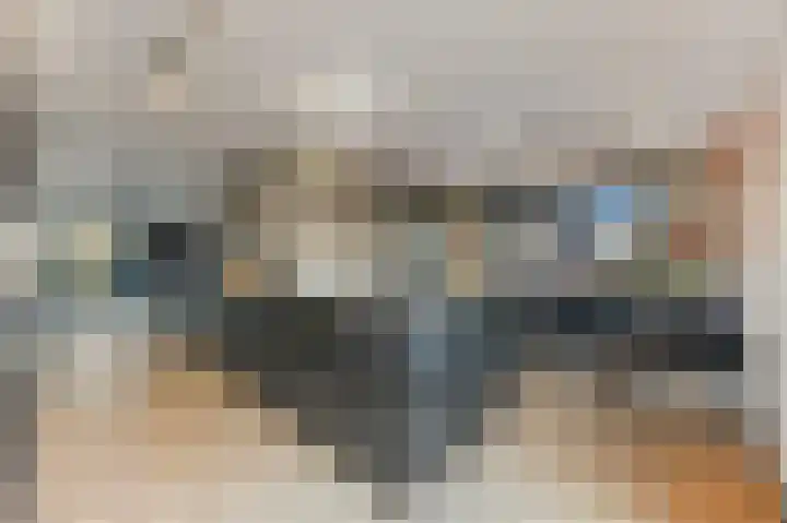 Werve 47 Maasland thumbnail 13