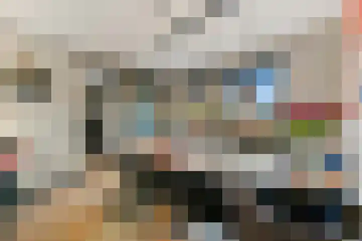 Werve 47 Maasland thumbnail 15