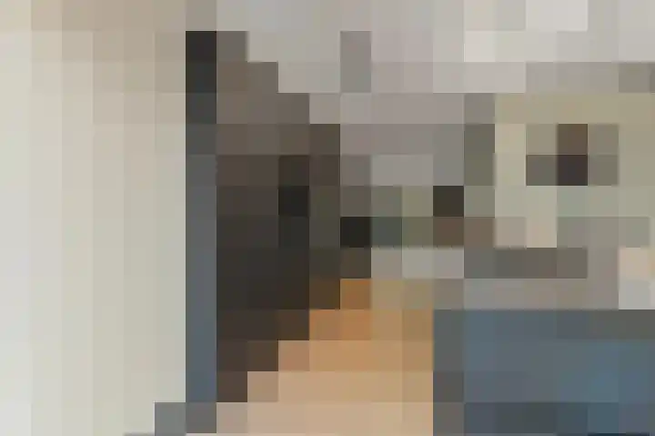 Werve 47 Maasland thumbnail 16