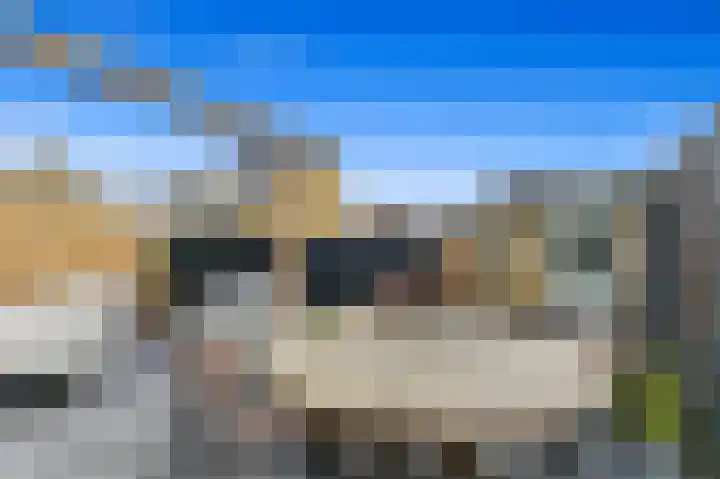 Werve 47 Maasland thumbnail 17