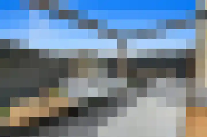 Werve 47 Maasland thumbnail 19