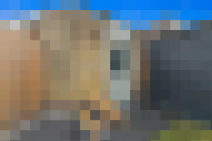 Werve 47 Maasland thumbnail 20