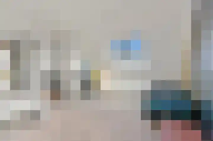 Werve 47 Maasland thumbnail 27