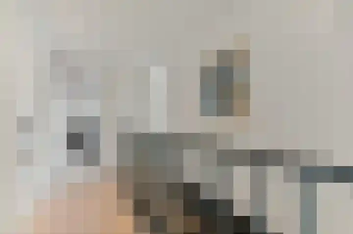 Werve 47 Maasland thumbnail 28