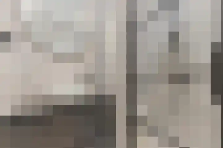 Werve 47 Maasland thumbnail 29
