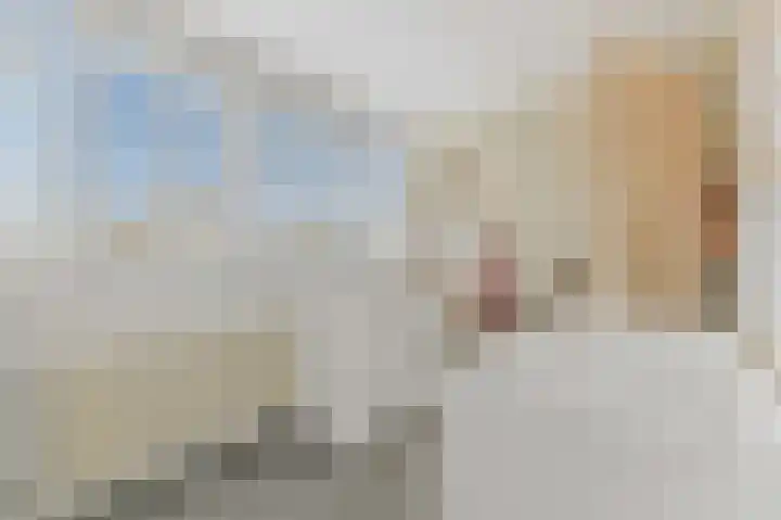 Werve 47 Maasland thumbnail 32