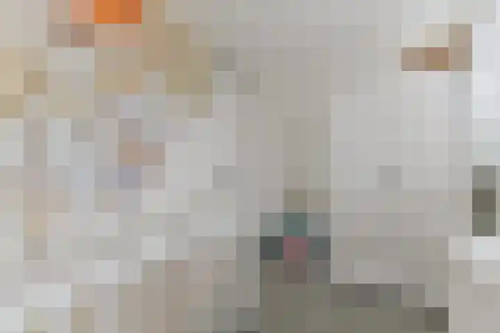 Werve 47 Maasland thumbnail 33