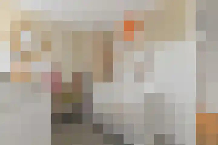 Werve 47 Maasland thumbnail 34