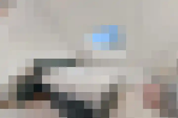 Werve 47 Maasland thumbnail 35
