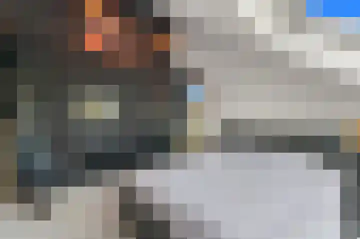 Werve 47 Maasland thumbnail 36