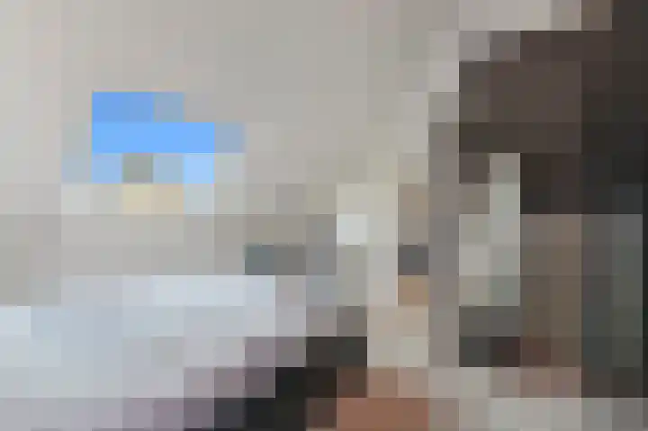 Werve 47 Maasland thumbnail 37