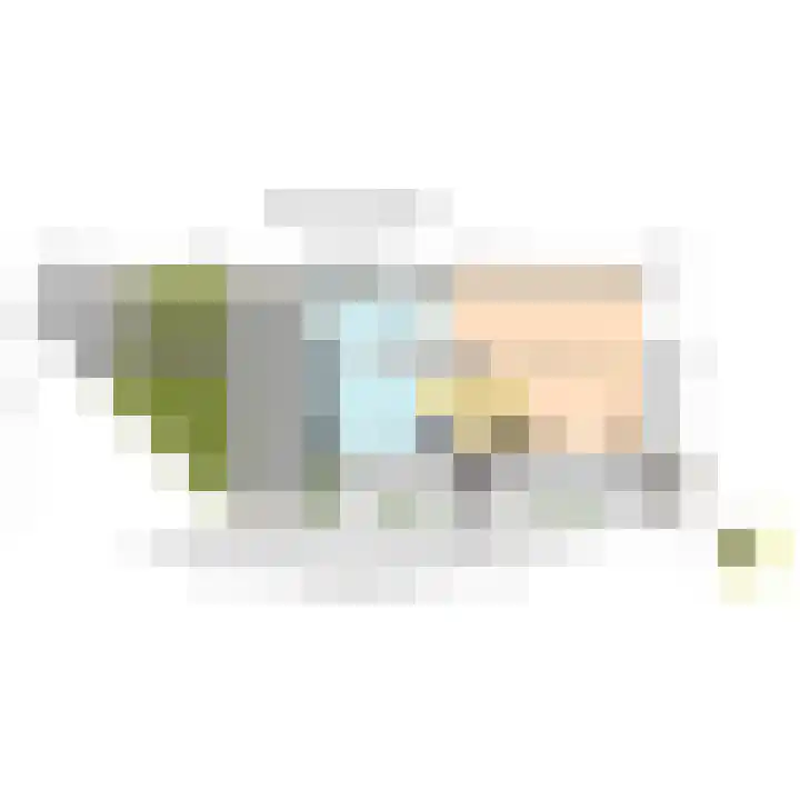 Werve 47 Maasland thumbnail 39