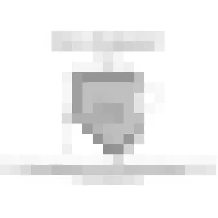 Werve 47 Maasland thumbnail 44