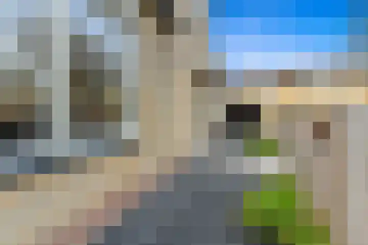 Werve 47 Maasland thumbnail 5