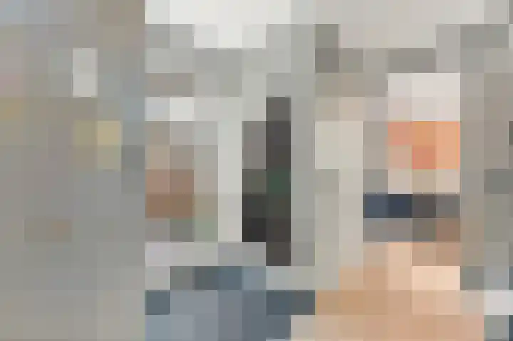 Werve 47 Maasland thumbnail 7