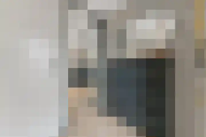 Werve 47 Maasland thumbnail 8