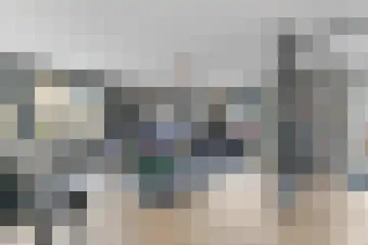 Werve 47 Maasland thumbnail 9