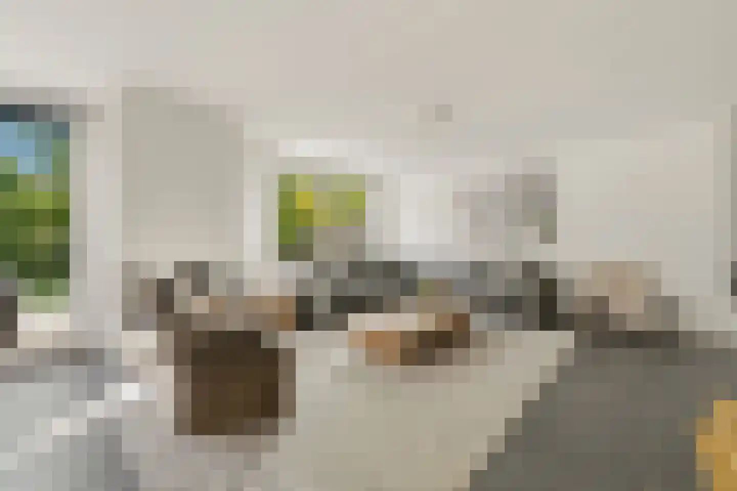 Werve 60 Maasland thumbnail 10