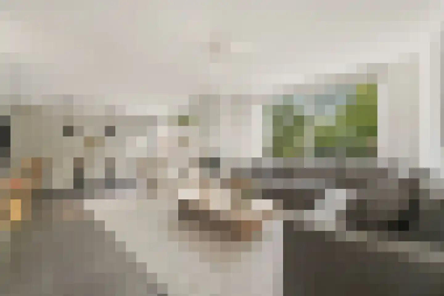 Werve 60 Maasland thumbnail 11