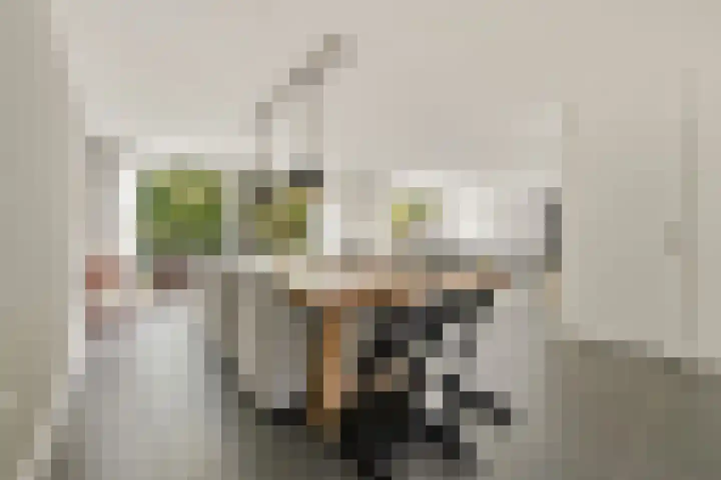 Werve 60 Maasland thumbnail 12