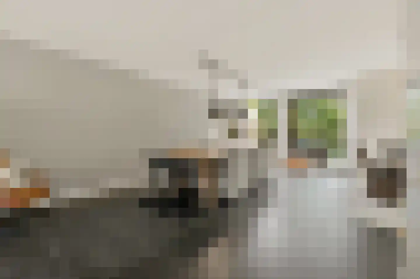 Werve 60 Maasland thumbnail 14