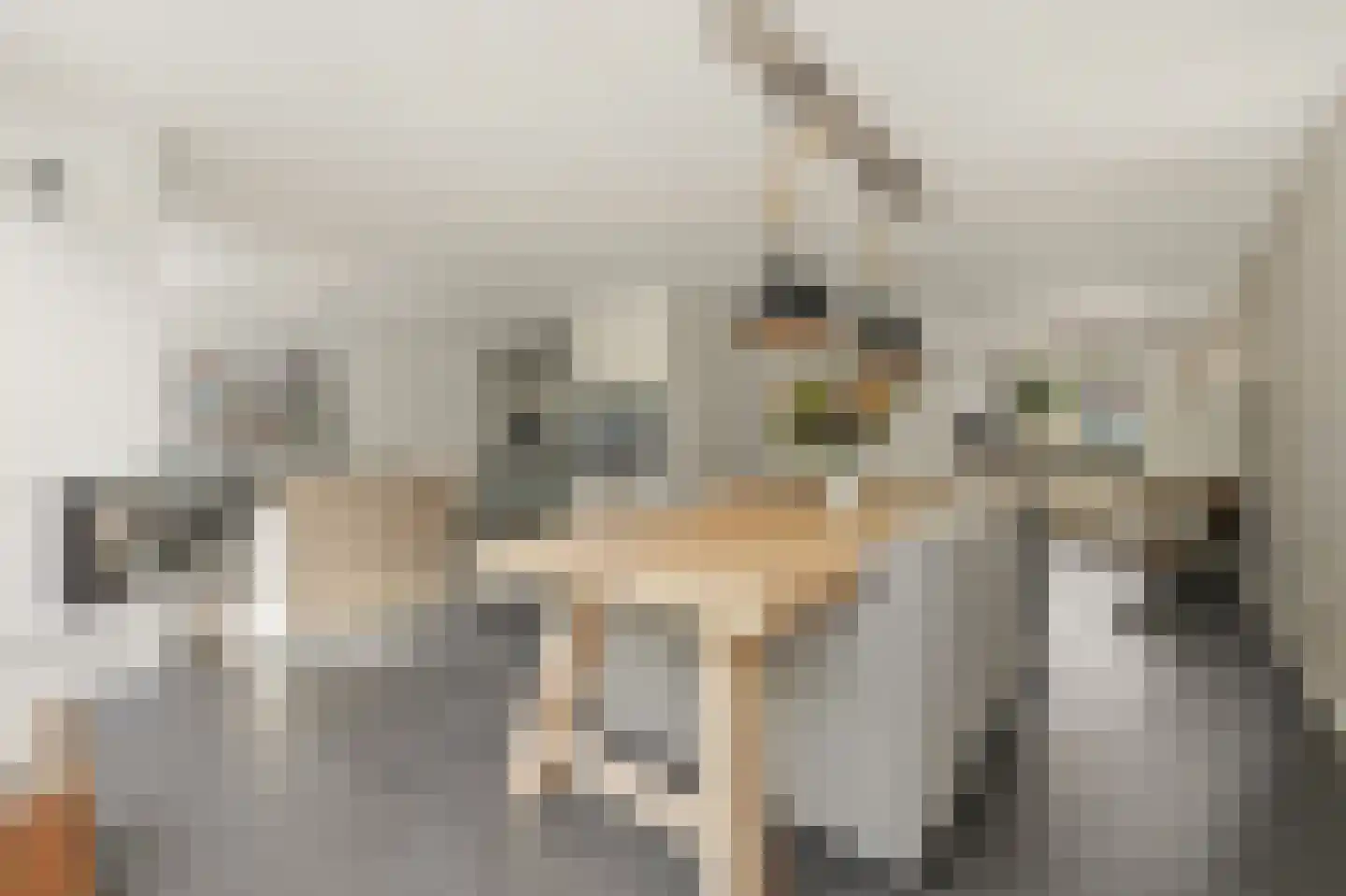 Werve 60 Maasland thumbnail 15