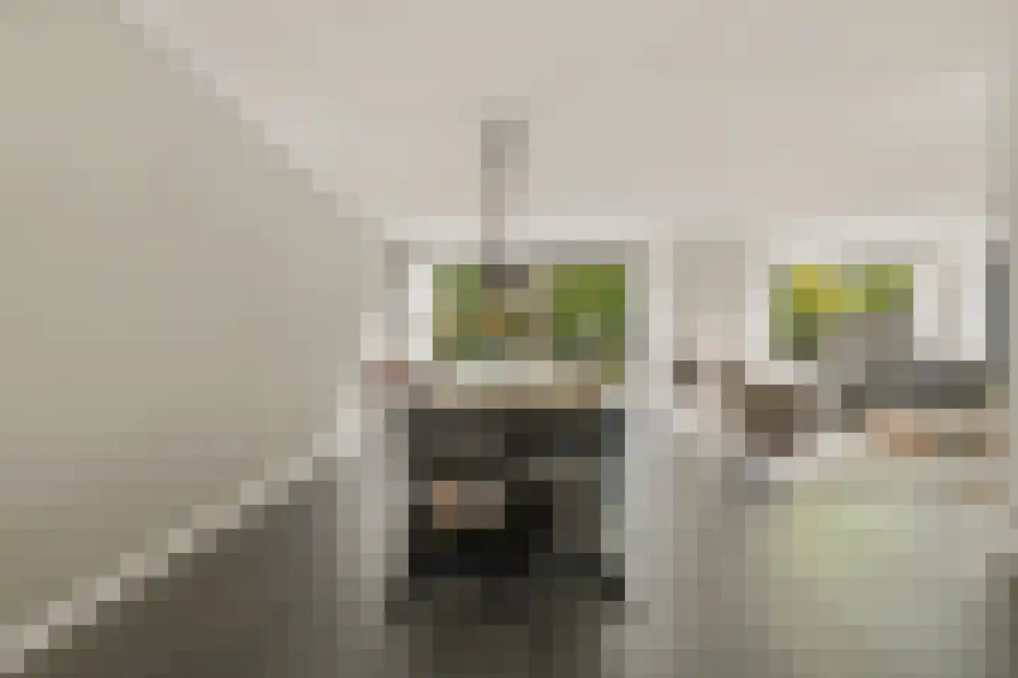 Werve 60 Maasland thumbnail 16