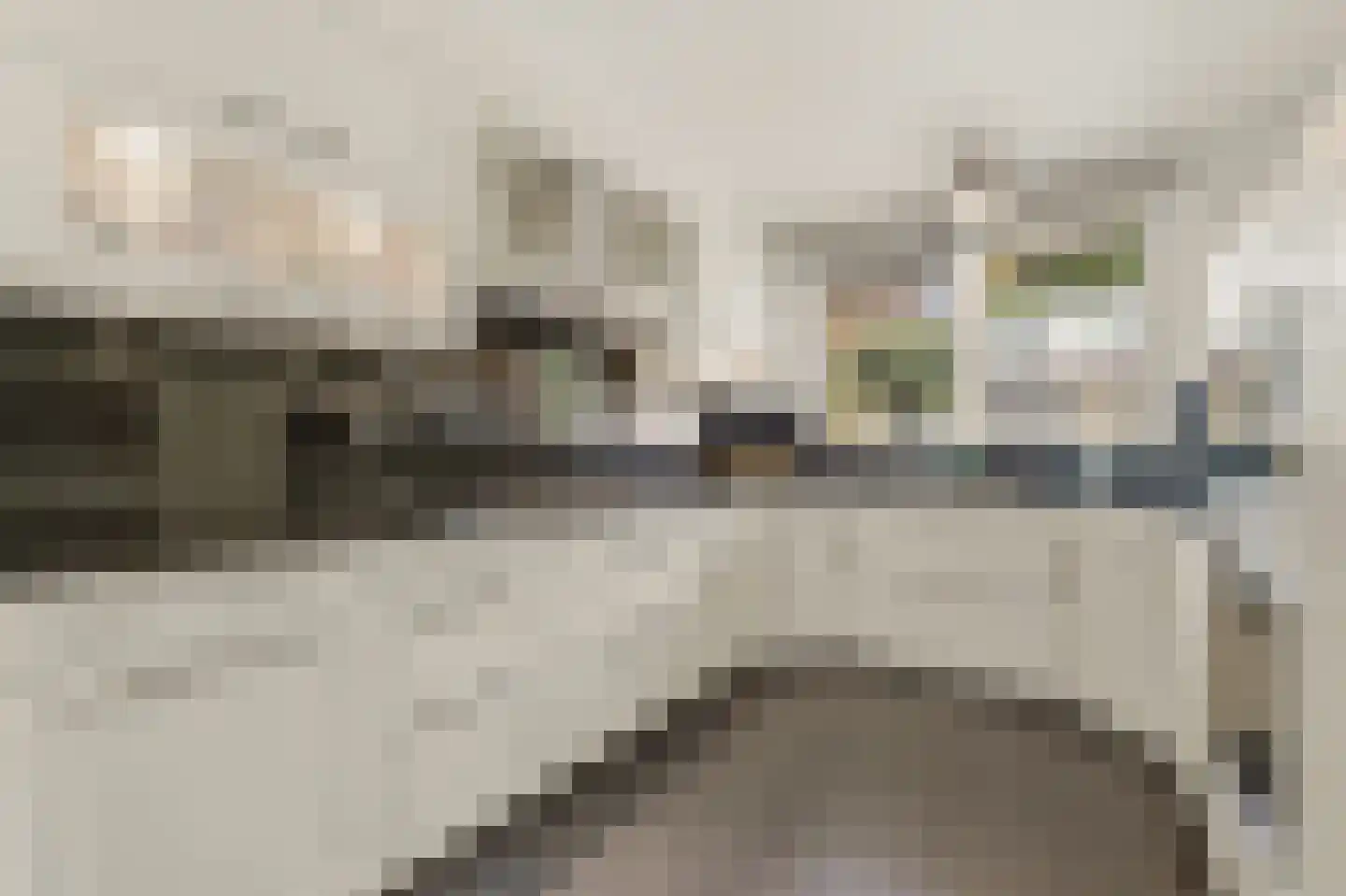 Werve 60 Maasland thumbnail 18