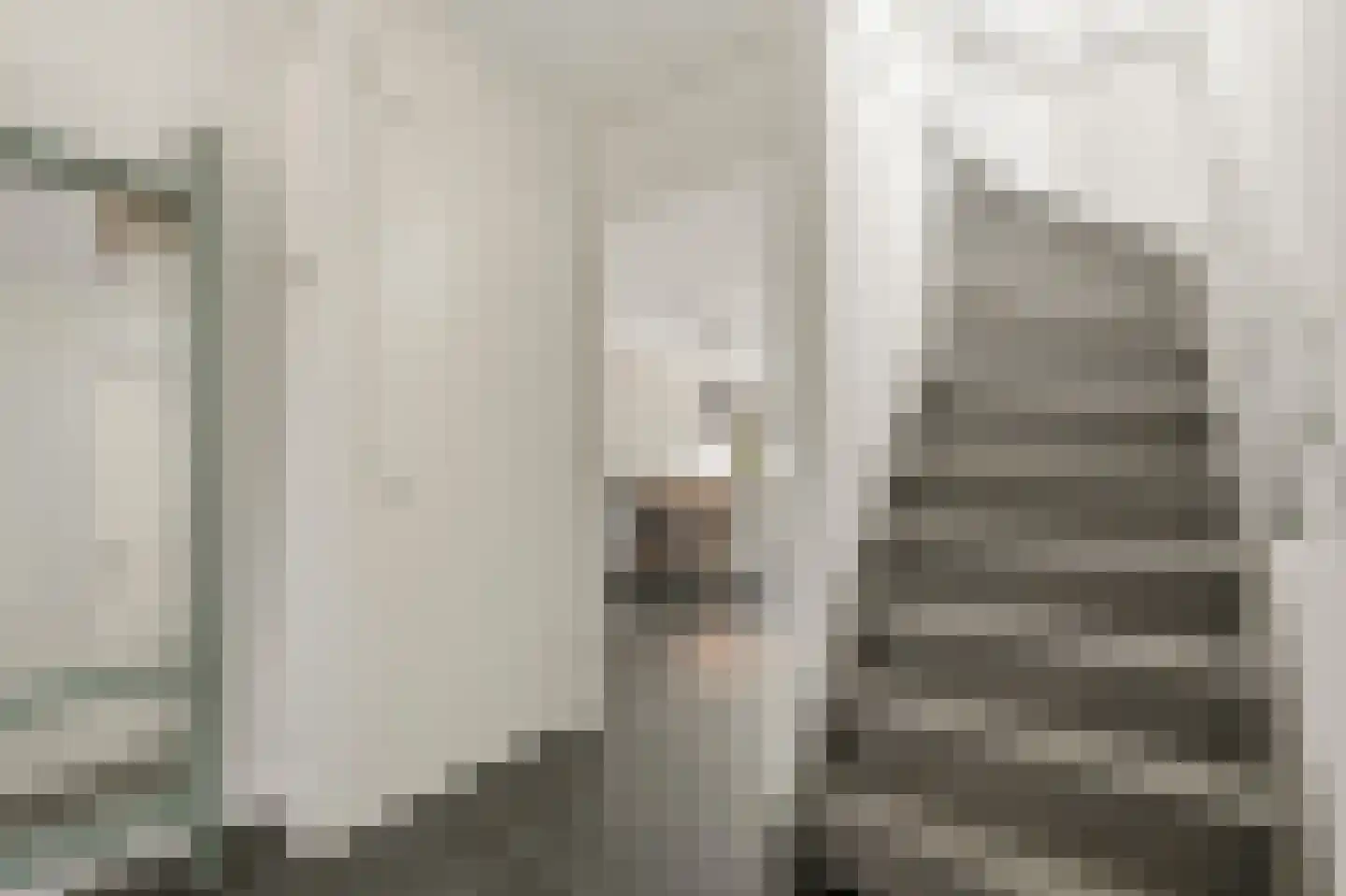 Werve 60 Maasland thumbnail 26