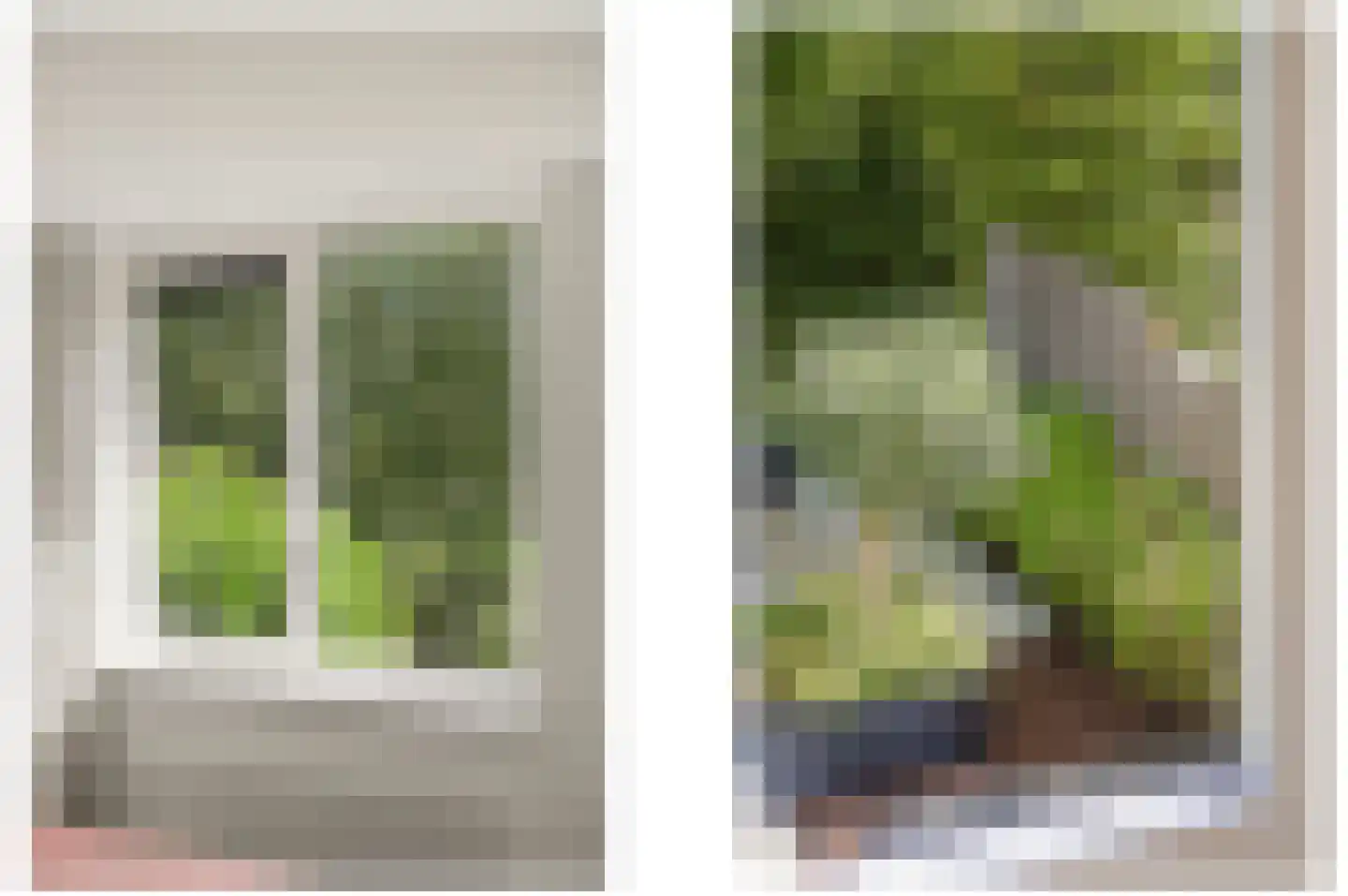 Werve 60 Maasland thumbnail 33
