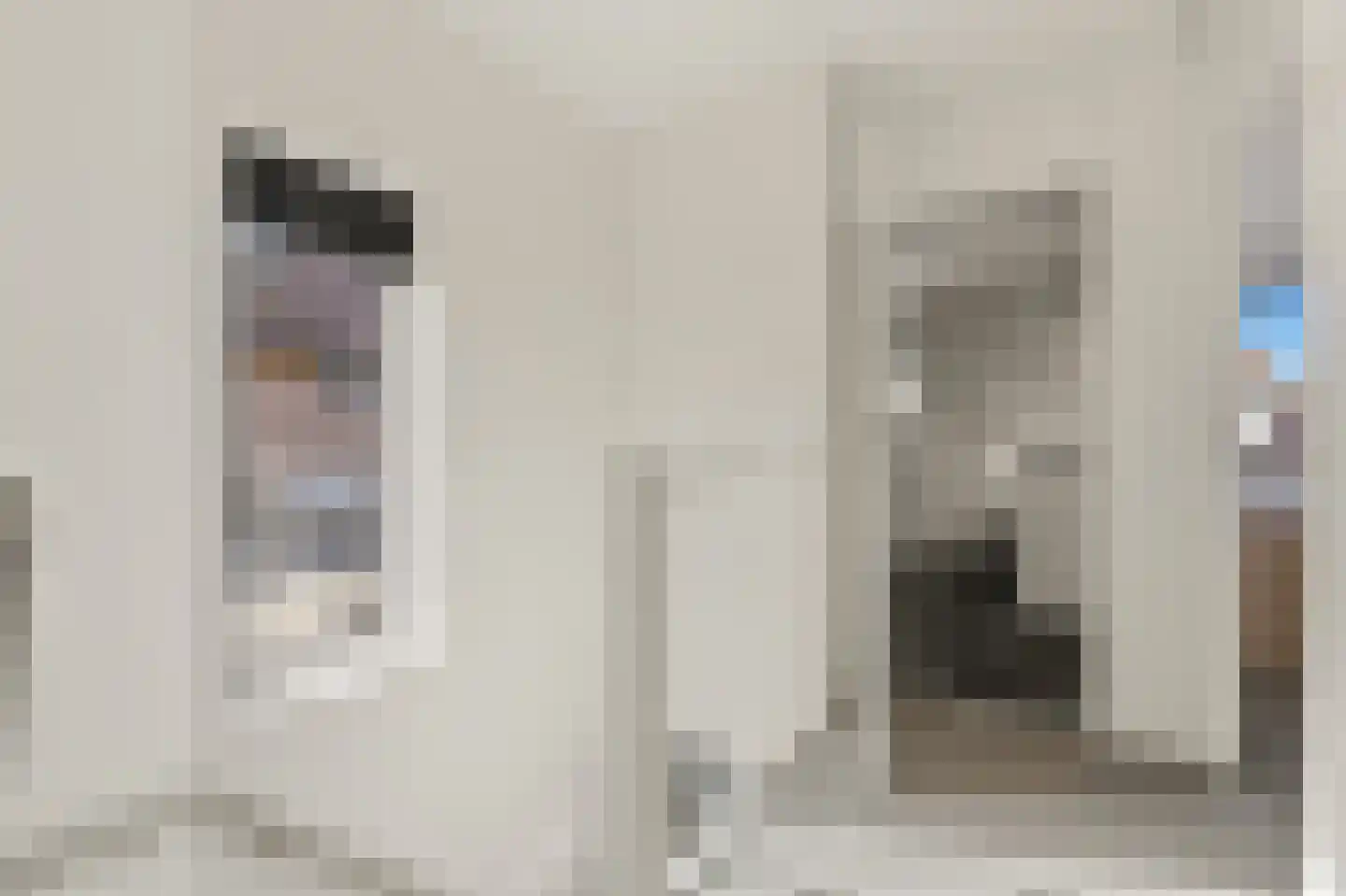 Werve 60 Maasland thumbnail 35