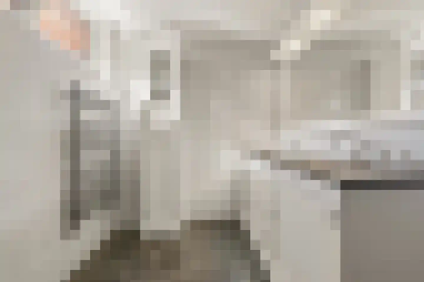 Werve 60 Maasland thumbnail 36