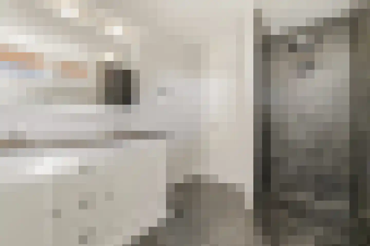 Werve 60 Maasland thumbnail 37