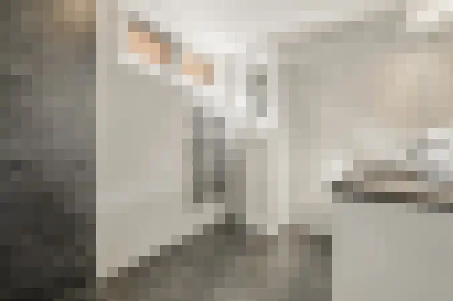 Werve 60 Maasland thumbnail 38