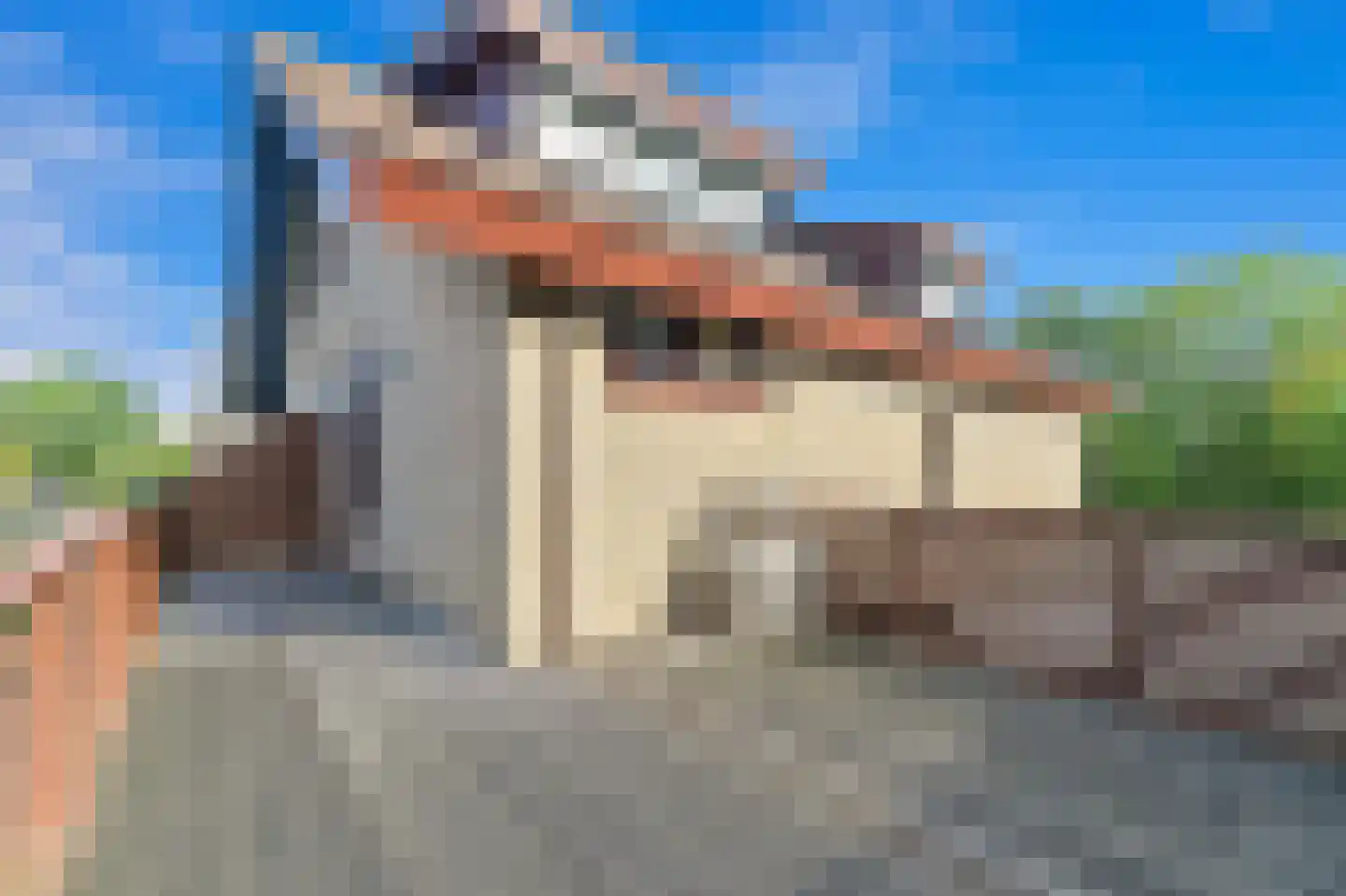 Werve 60 Maasland thumbnail 43