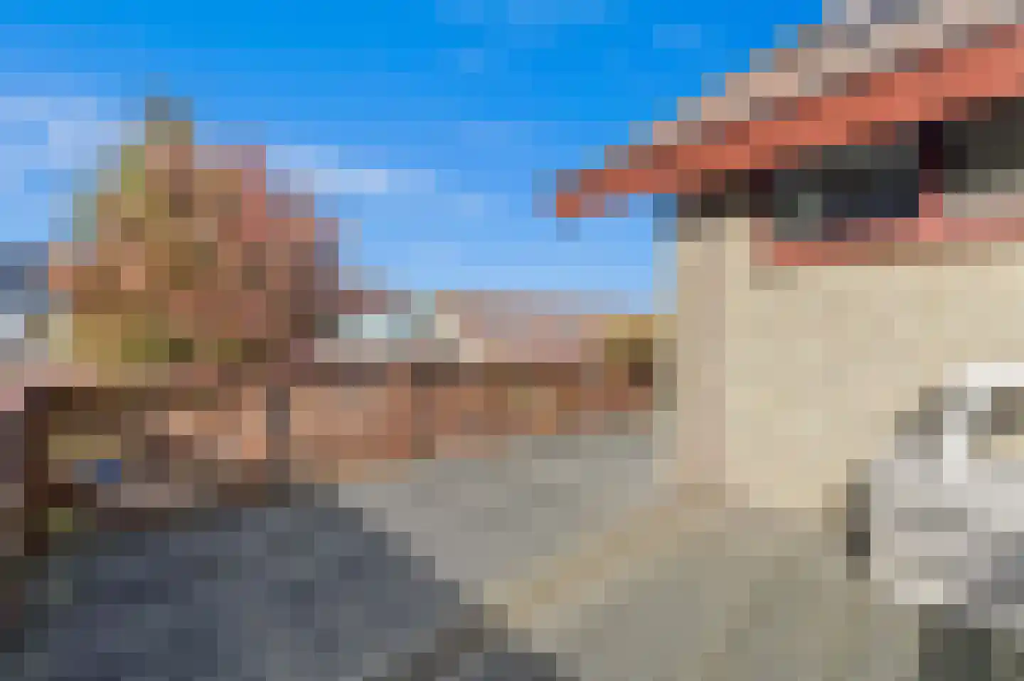 Werve 60 Maasland thumbnail 44