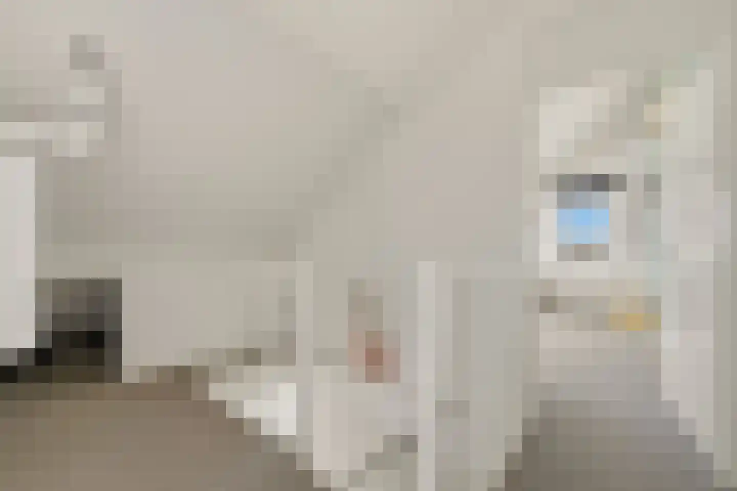 Werve 60 Maasland thumbnail 49