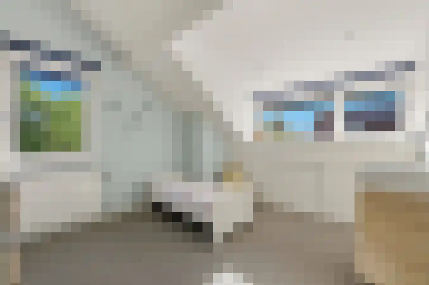 Werve 60 Maasland thumbnail 50
