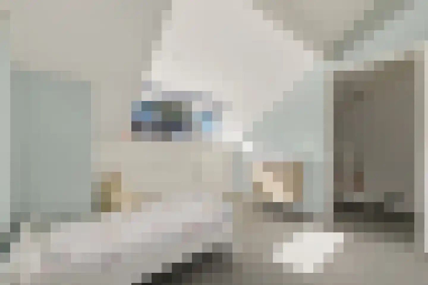 Werve 60 Maasland thumbnail 51