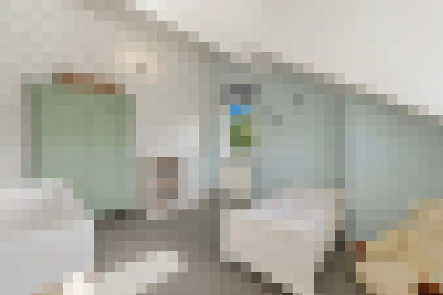 Werve 60 Maasland thumbnail 52
