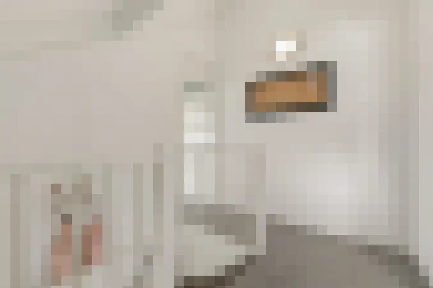 Werve 60 Maasland thumbnail 54