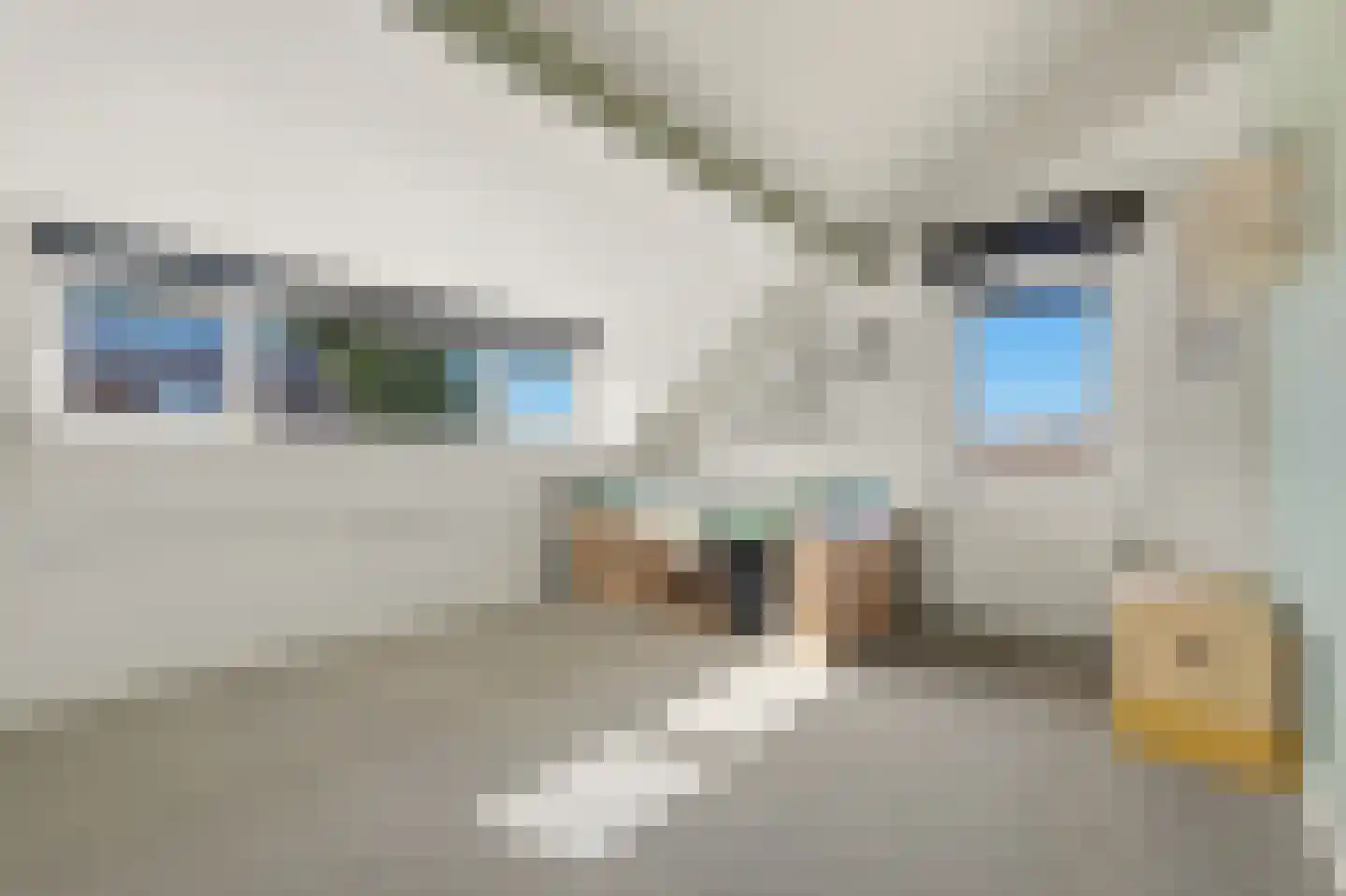 Werve 60 Maasland thumbnail 55