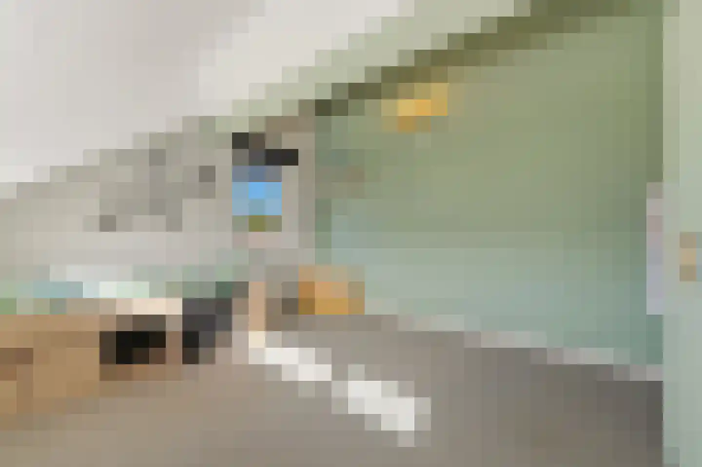 Werve 60 Maasland thumbnail 57