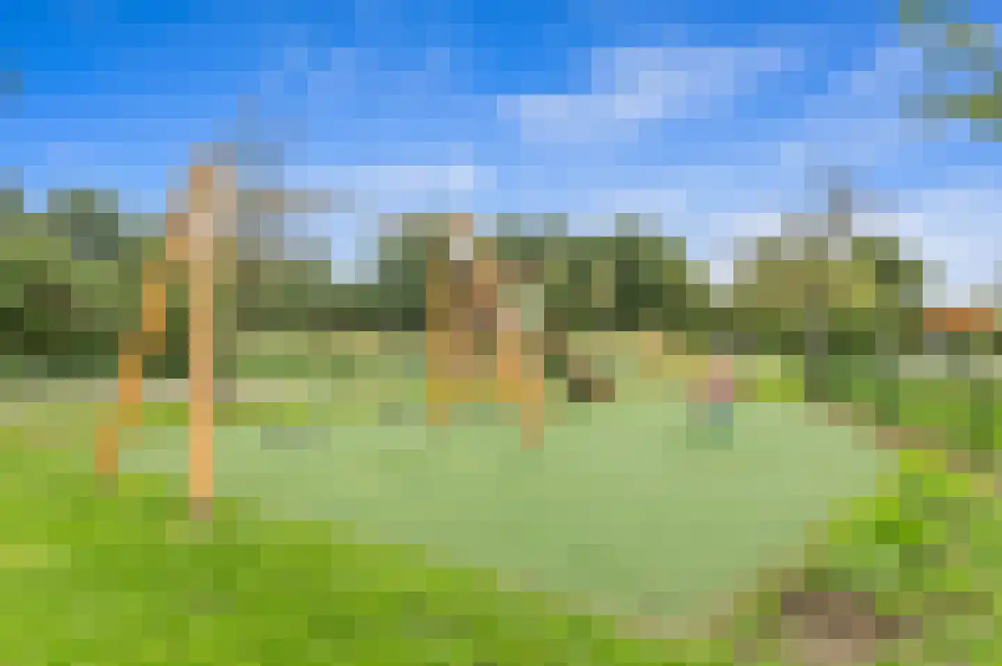 Werve 60 Maasland thumbnail 58